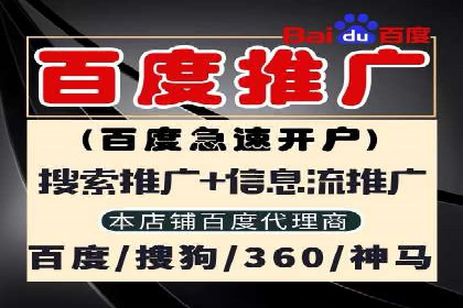 百度广告推广在电商行业的实战案例