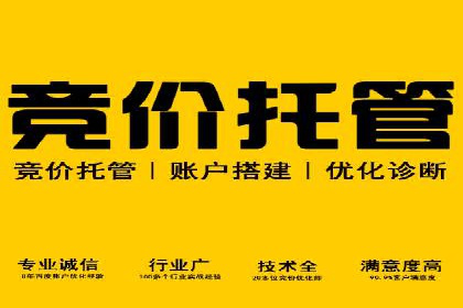 百度包年竞价案例分享：提升网站流量的秘诀